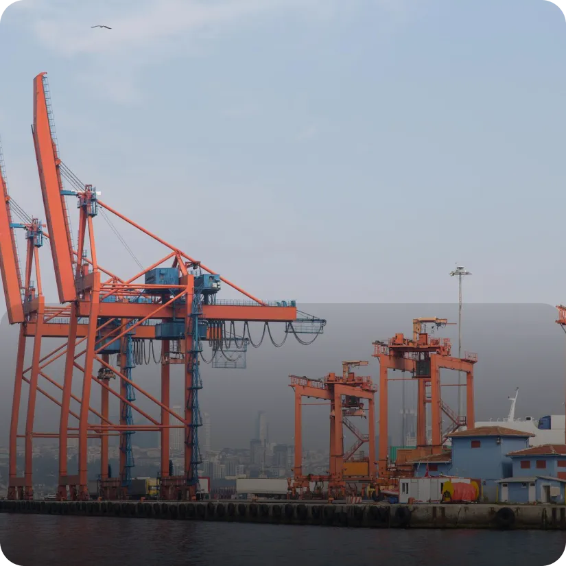 High-capacity port material handling by Surbhi Earthmover — coal unloading at 600 tonnes per hour