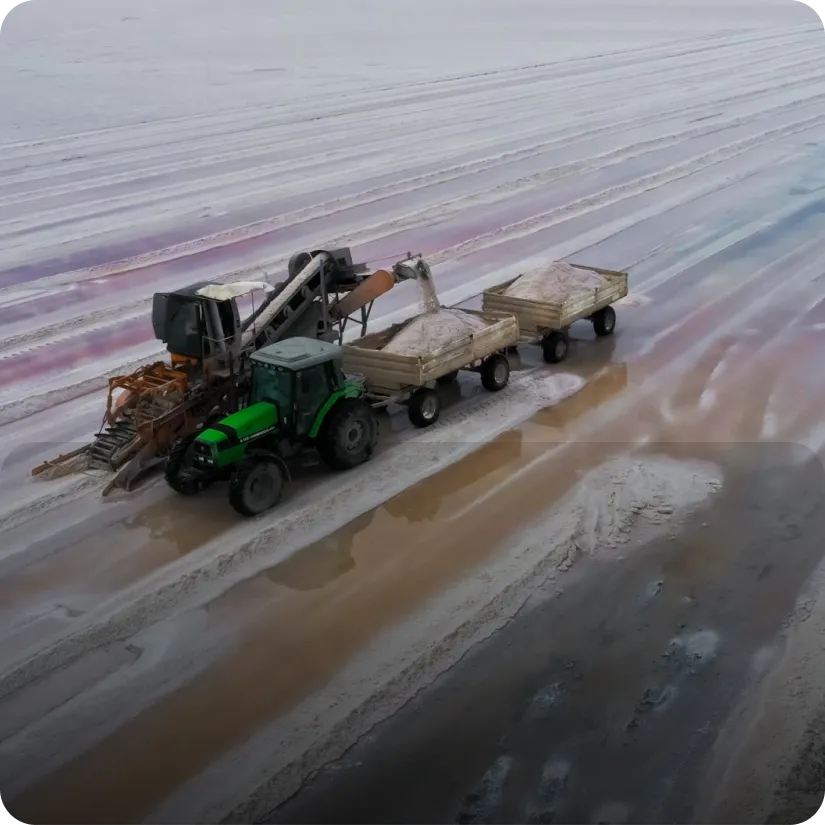 Salt field development and bund construction by Surbhi Earthmover for industrial salt production