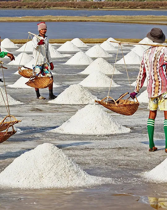 Salt harvesting operations and mechanized salt production by Surbhi