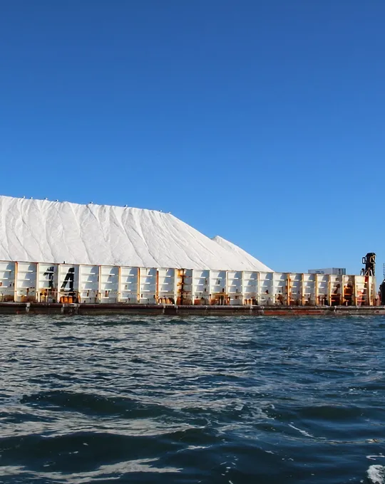 Salt and bulk material transportation by Surbhi Earthmover logistics fleet